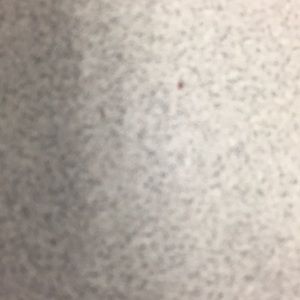 Meet your Posher, Adan